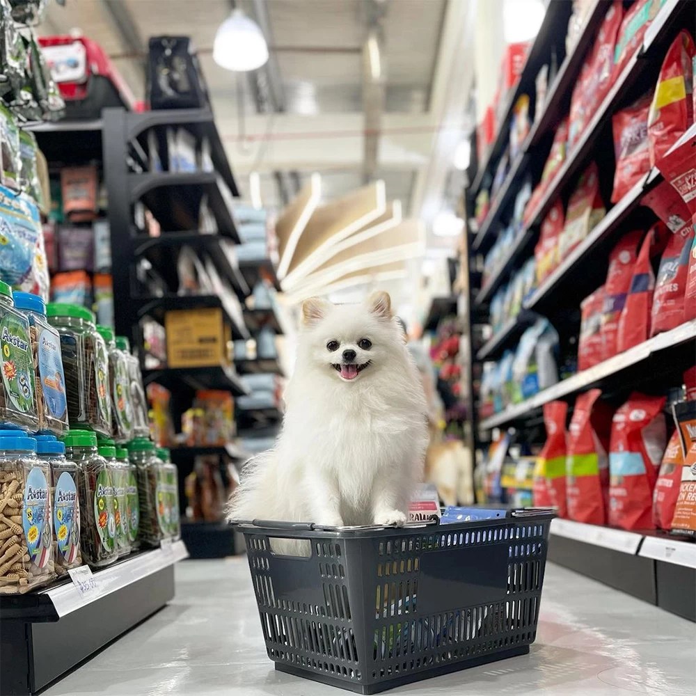 Singapore’s Largest Pet Supplies, Dog Supplies Mega Store Pet Master